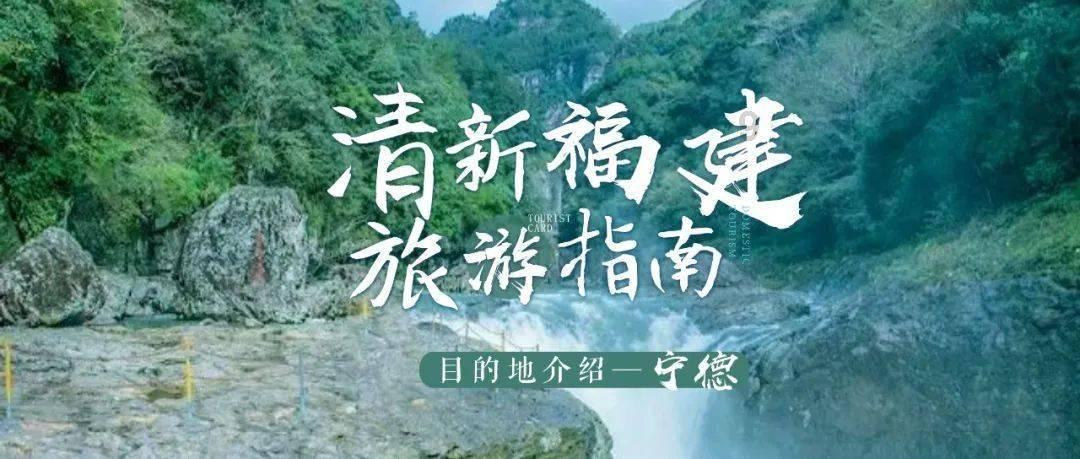 饥饿的松鼠救援