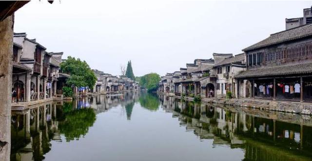 可爱猪救援2